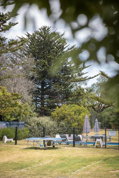 Spacious grounds with pool area and Norfolk pines