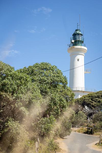 The lighthouse through native coastal bushland